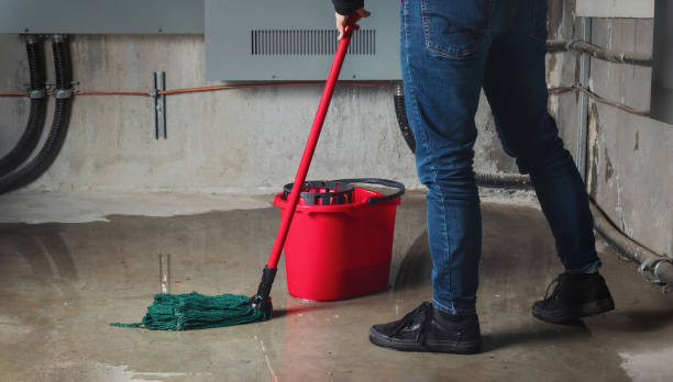 Best Water damage restoration near me  in East Grand Forks, MN