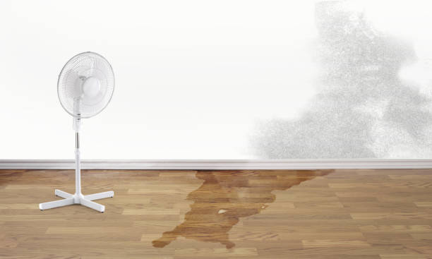  East Grand Forks, MN Water damage restoration Pros