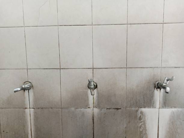 Best Water damage contractors near me  in East Grand Forks, MN