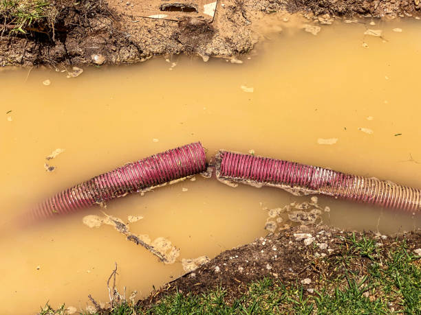Best Local water damage restoration  in East Grand Forks, MN